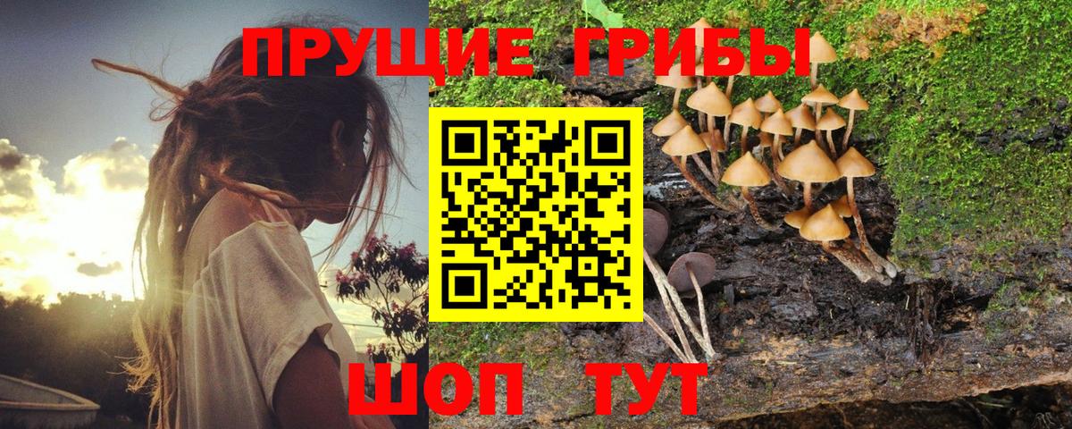 Воркута  Галлюциногенные грибы мицелий  Вход с VPN 
