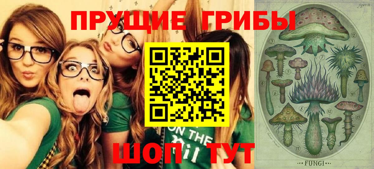 Галлюциногенные грибы Psilocybine cubensis Воркута